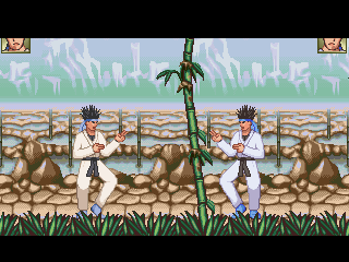 Ranma 1/2 Magical Sources Background for Mugen